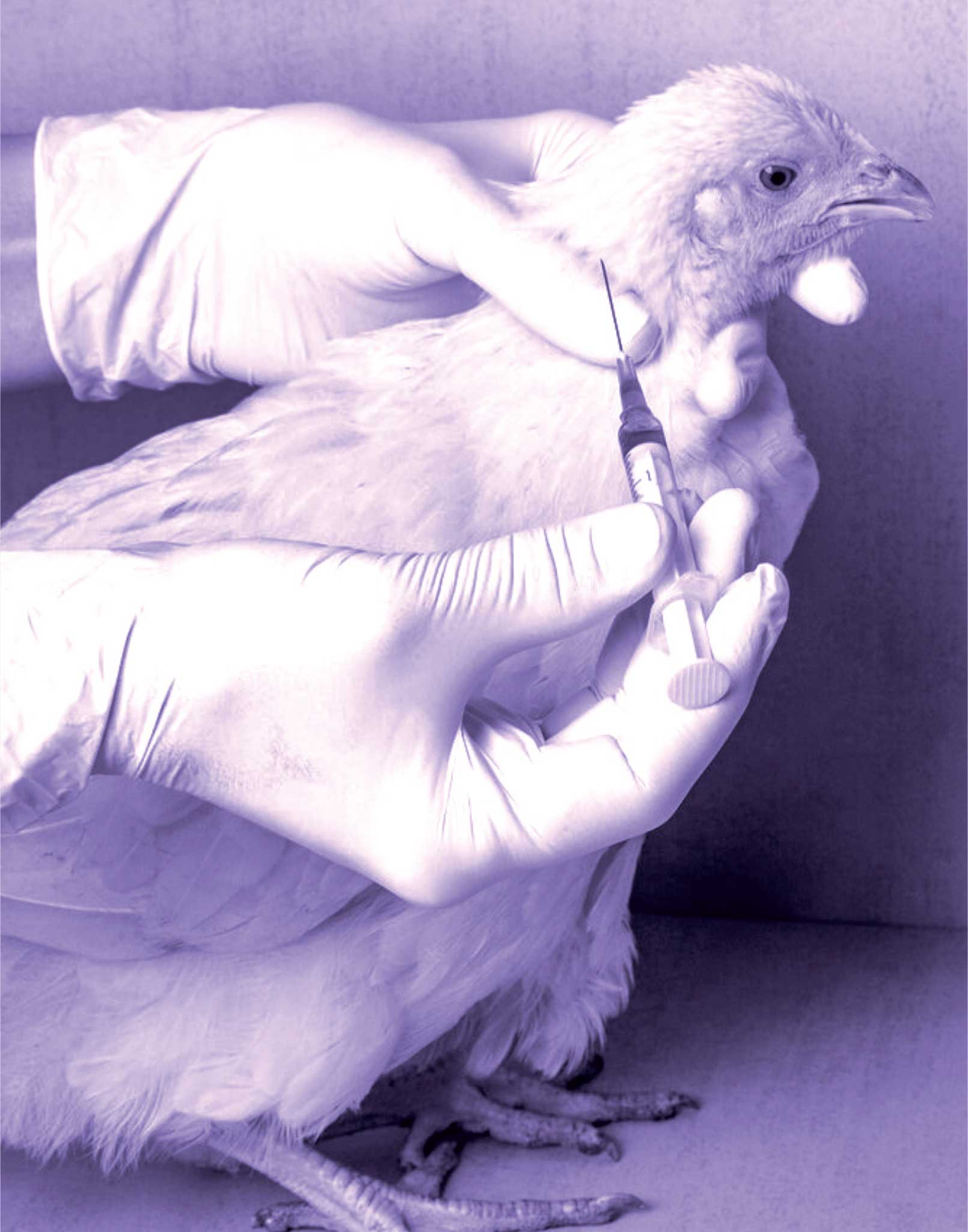 Diagnosis Specialities